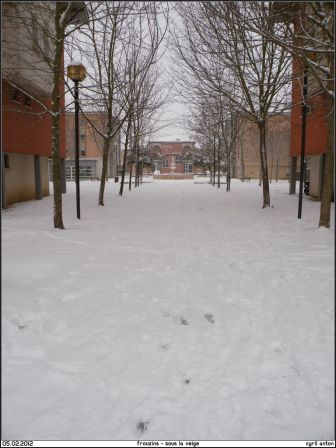 2012-02-05_Frouzins_sous_la_neige-04.jpg