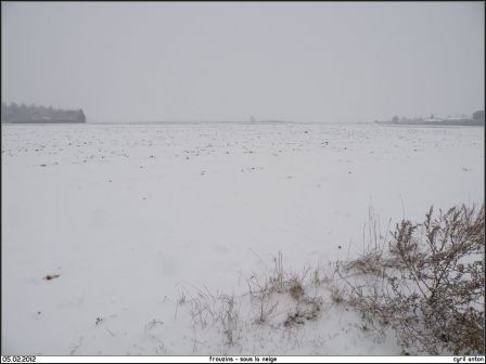 2012-02-05_Frouzins_sous_la_neige-05.jpg