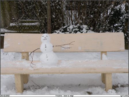 2012-02-05_Frouzins_sous_la_neige-09.jpg