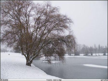 2012-02-05_Frouzins_sous_la_neige-13.jpg